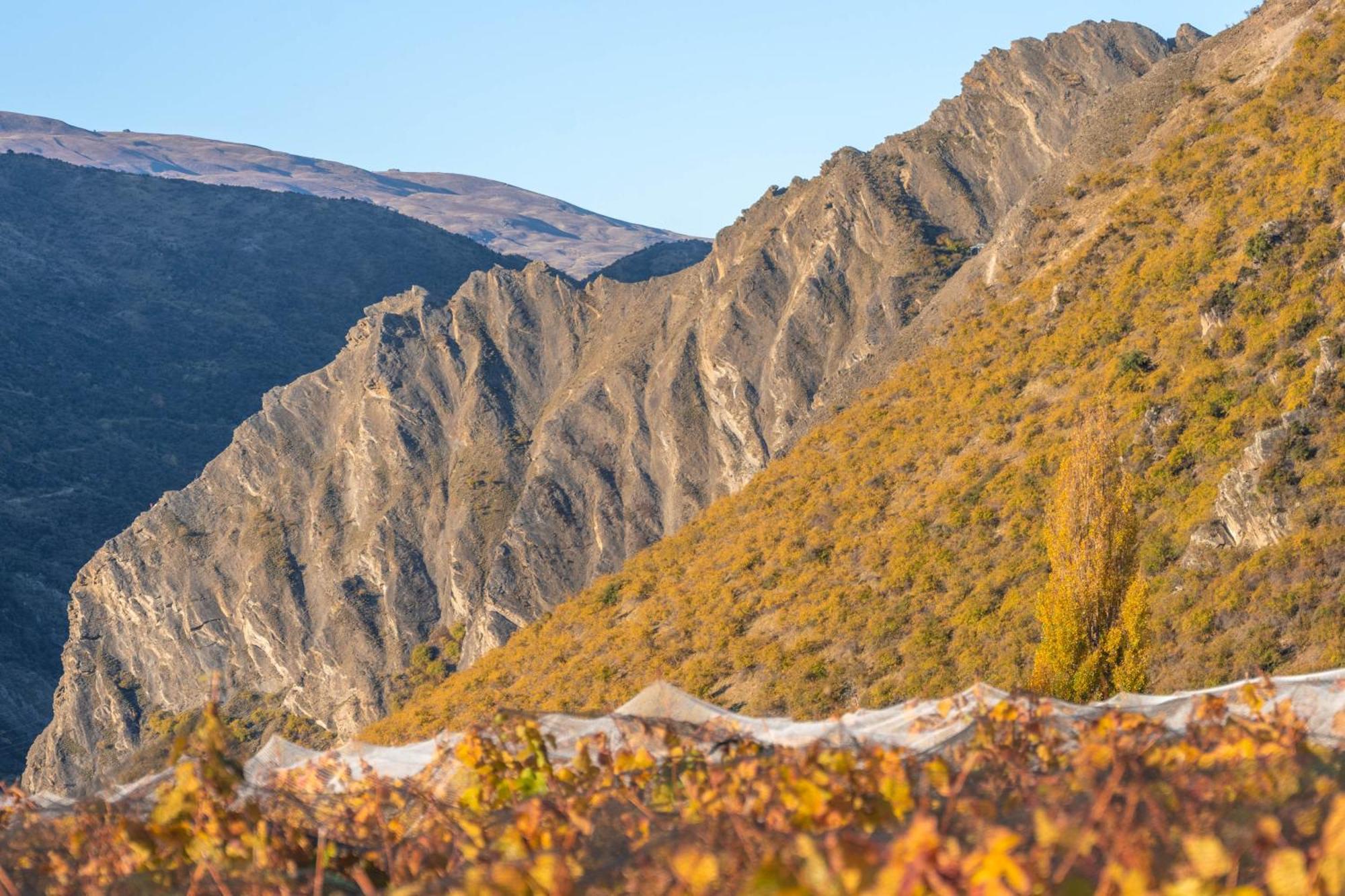 Mt Rosa Lodge Boutique Vineyard Accommodation Wanaka Exterior foto