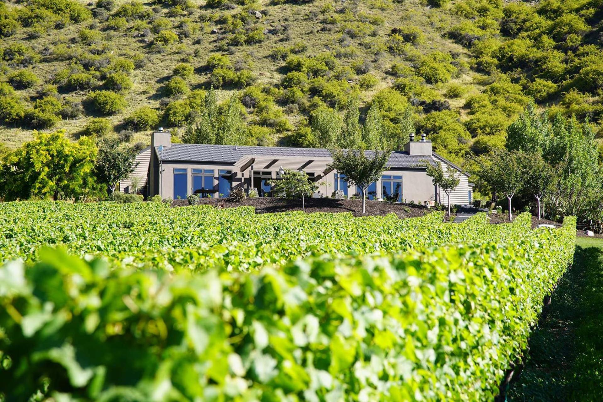 Mt Rosa Lodge Boutique Vineyard Accommodation Wanaka Exterior foto