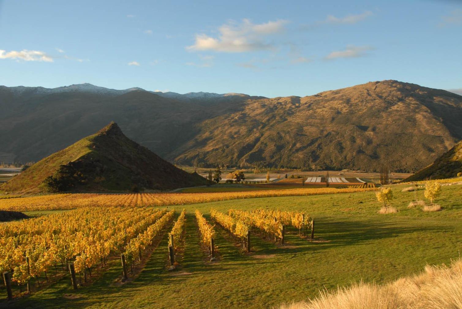 Mt Rosa Lodge Boutique Vineyard Accommodation Wanaka Exterior foto